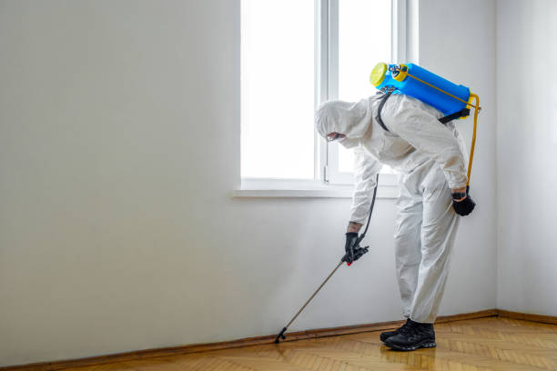 Best Pest Control for Multi-Family Homes  in Three Rivers, MI